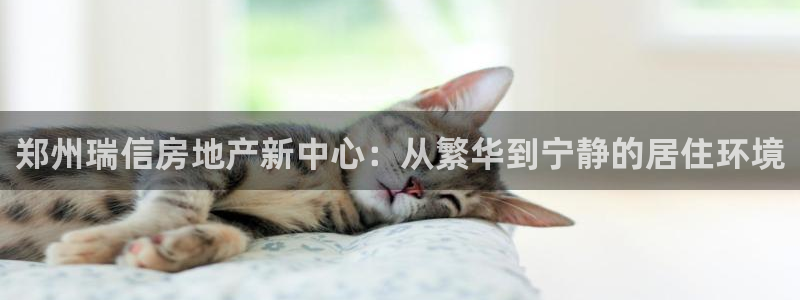 万向娱乐app下载苹果版