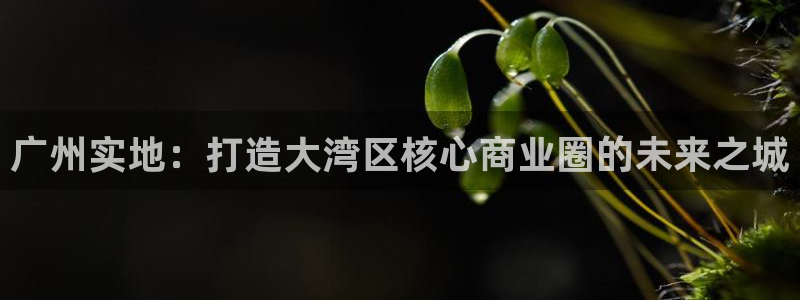 万向娱乐平台下载安装手机版