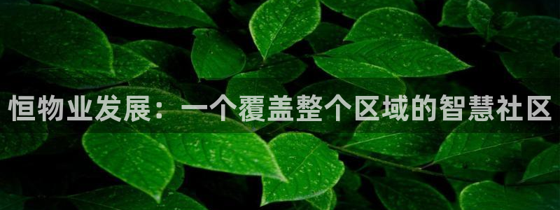 万向娱乐网址是什么