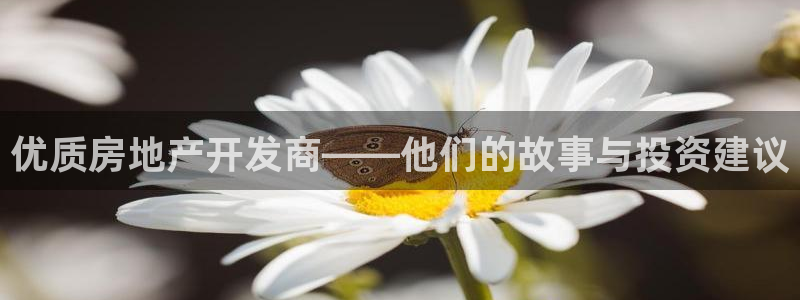 万向娱乐招商