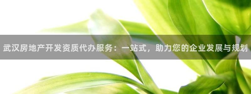 万向娱乐平台代理多少钱一个月