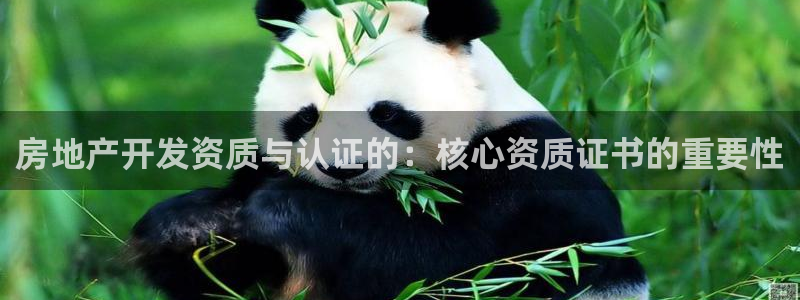 万能娱乐代理网址
